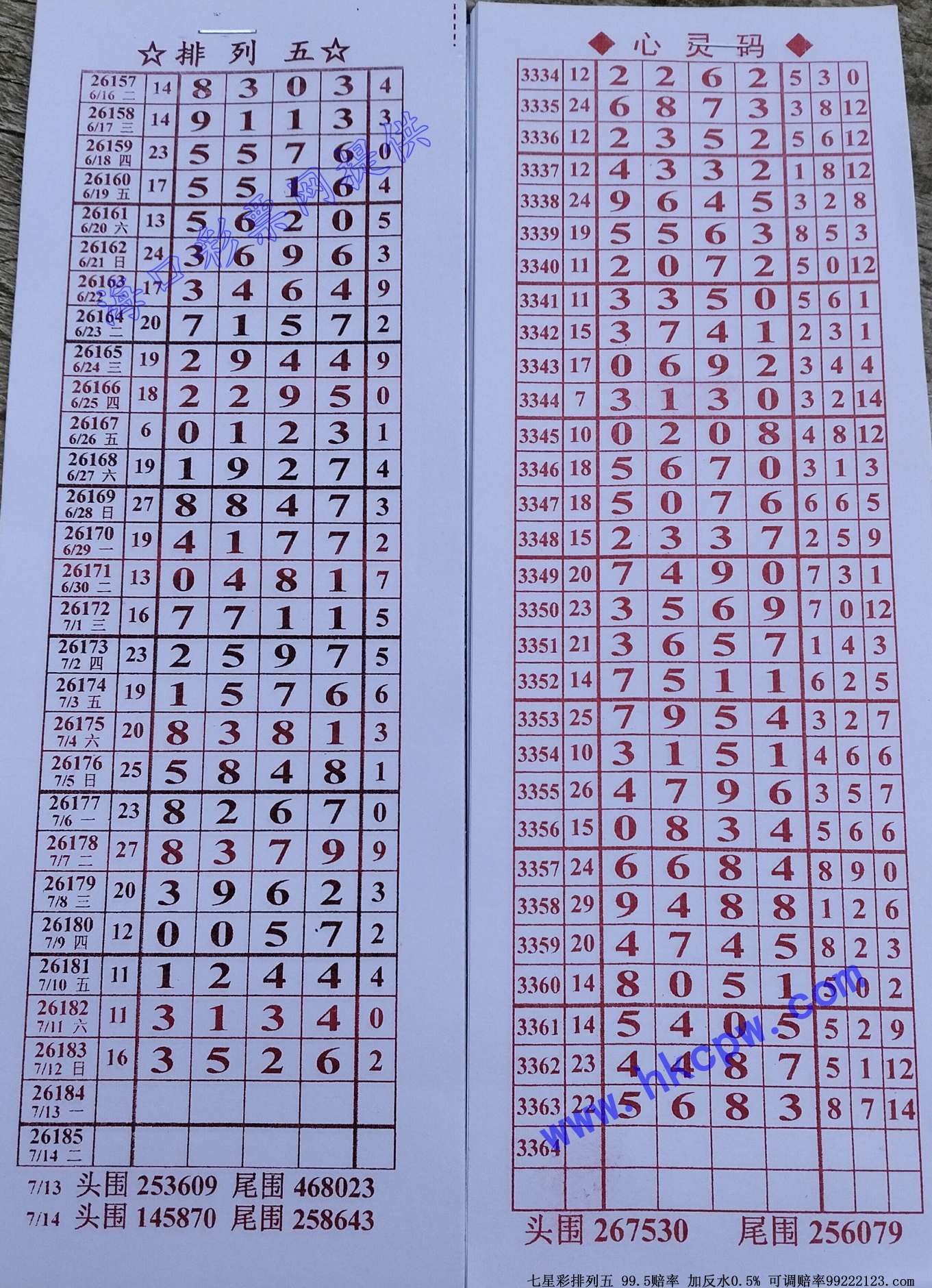 ����.jpg