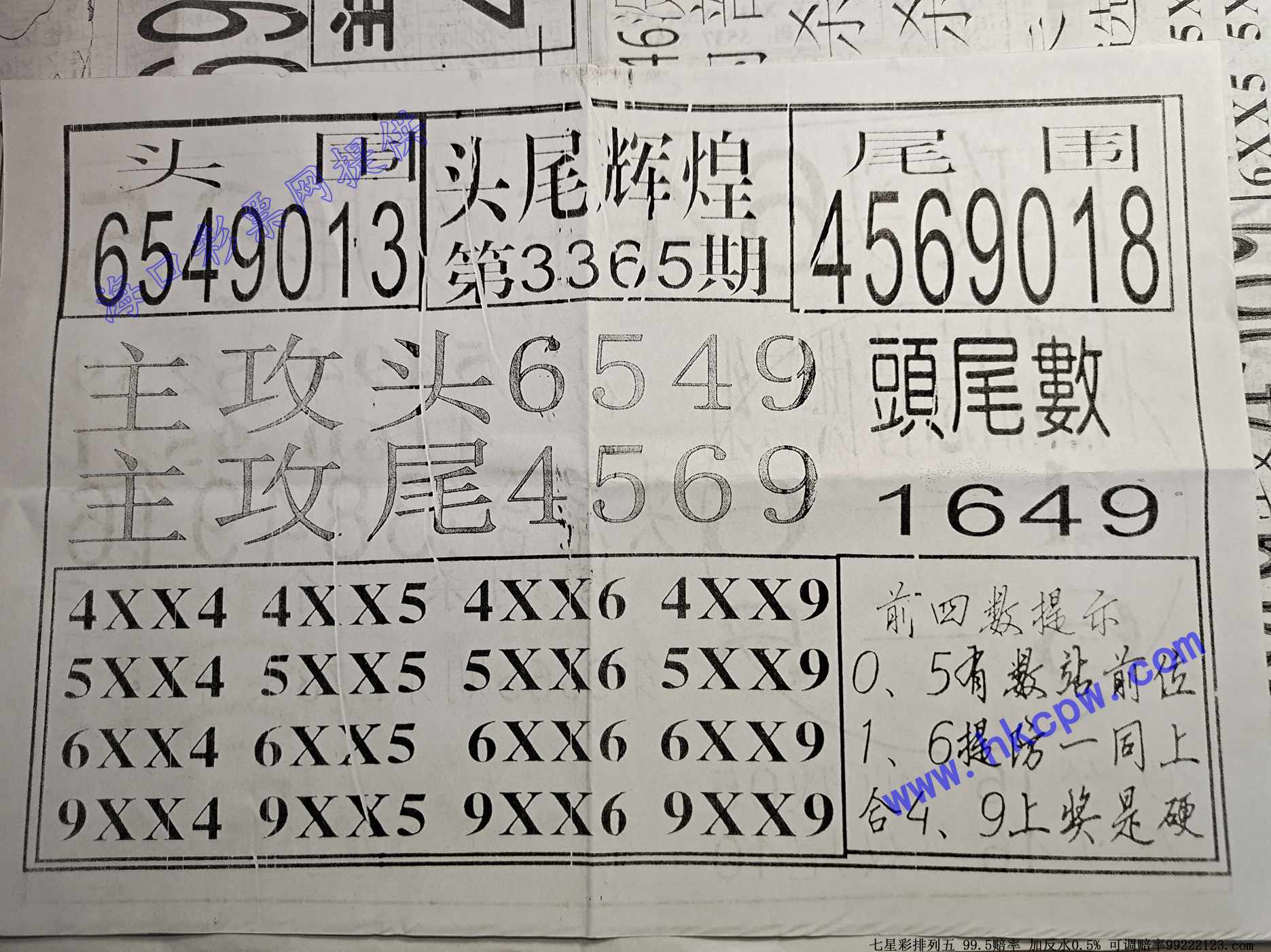ͷβ�Ի�.jpg